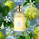 Aqua Alligoria Bergamonte Eau de Parfum 10 ML ORIGINAL